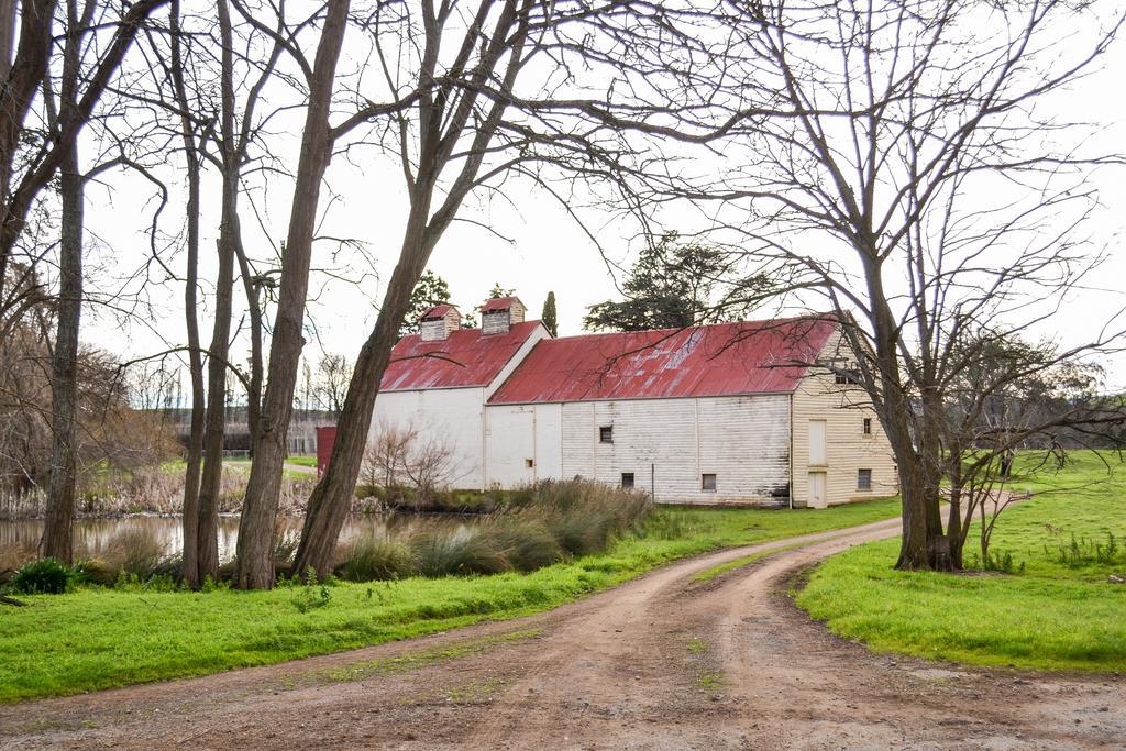 Roslyn House Bed & Breakfast Bushy Park Esterno foto