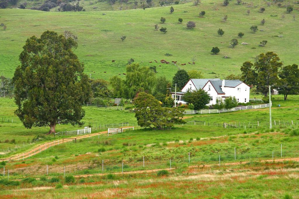 Roslyn House Bed & Breakfast Bushy Park Esterno foto