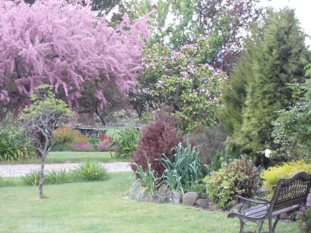 Roslyn House Bed & Breakfast Bushy Park Esterno foto