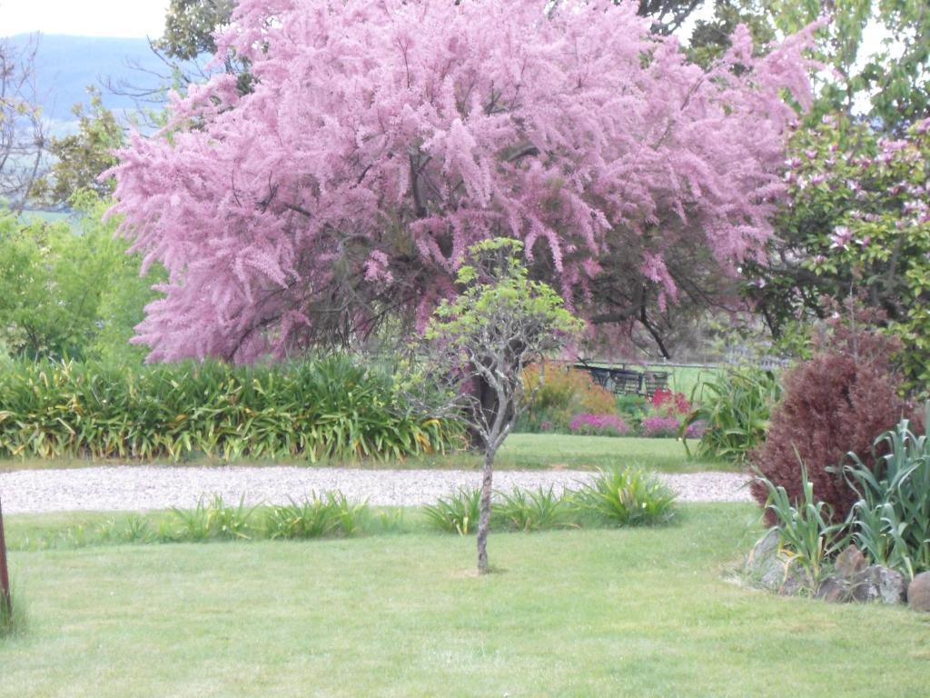 Roslyn House Bed & Breakfast Bushy Park Esterno foto