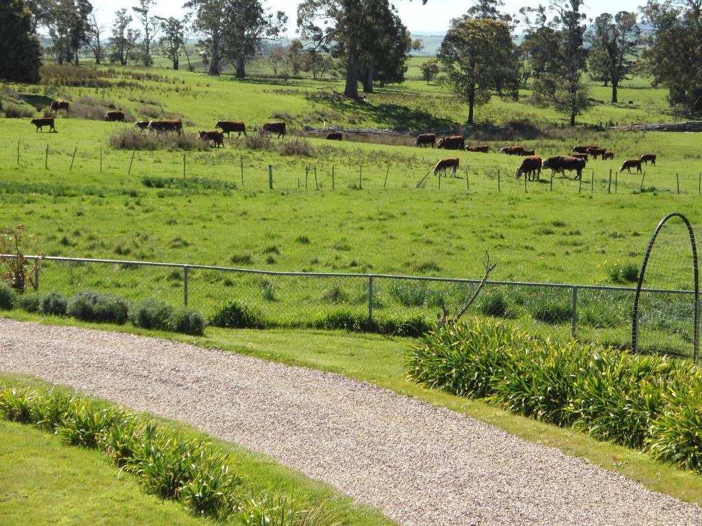Roslyn House Bed & Breakfast Bushy Park Esterno foto
