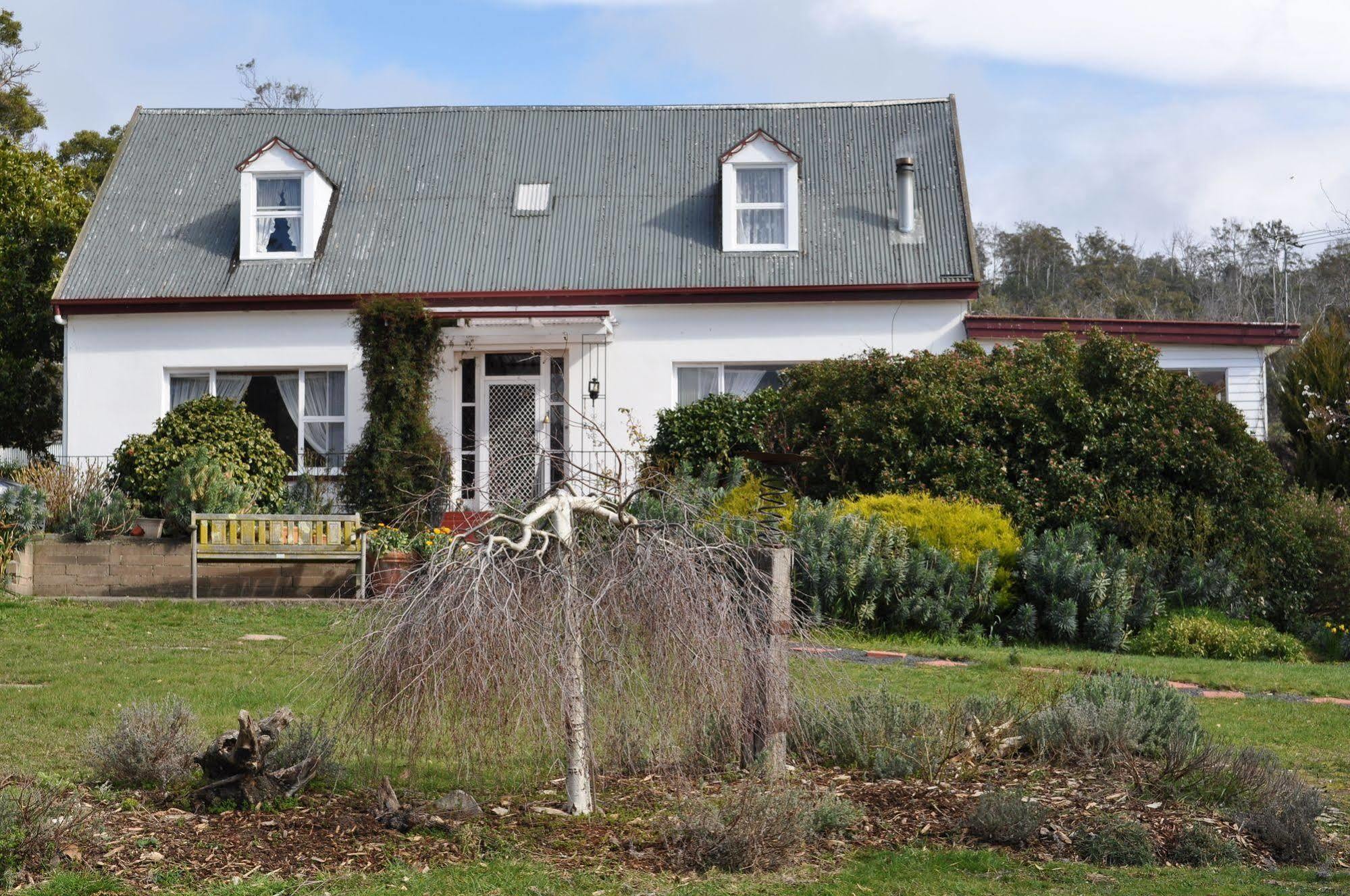 Roslyn House Bed & Breakfast Bushy Park Esterno foto
