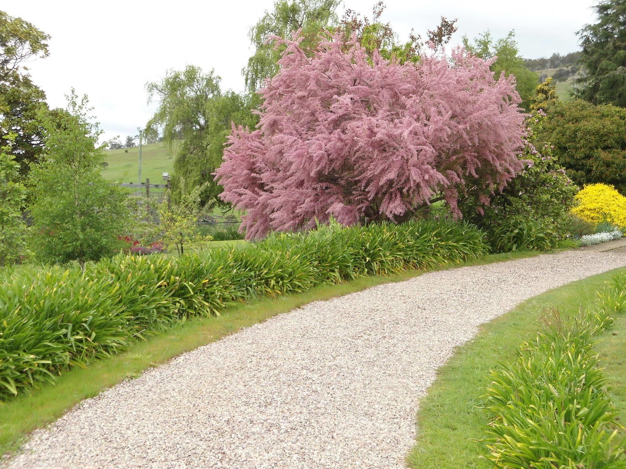 Roslyn House Bed & Breakfast Bushy Park Esterno foto