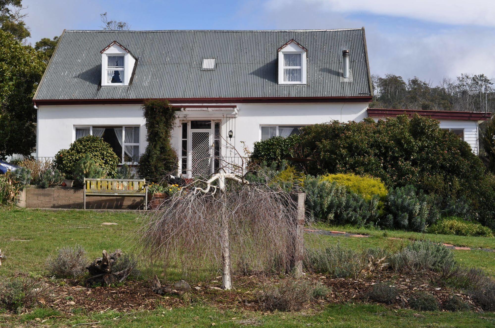 Roslyn House Bed & Breakfast Bushy Park Esterno foto
