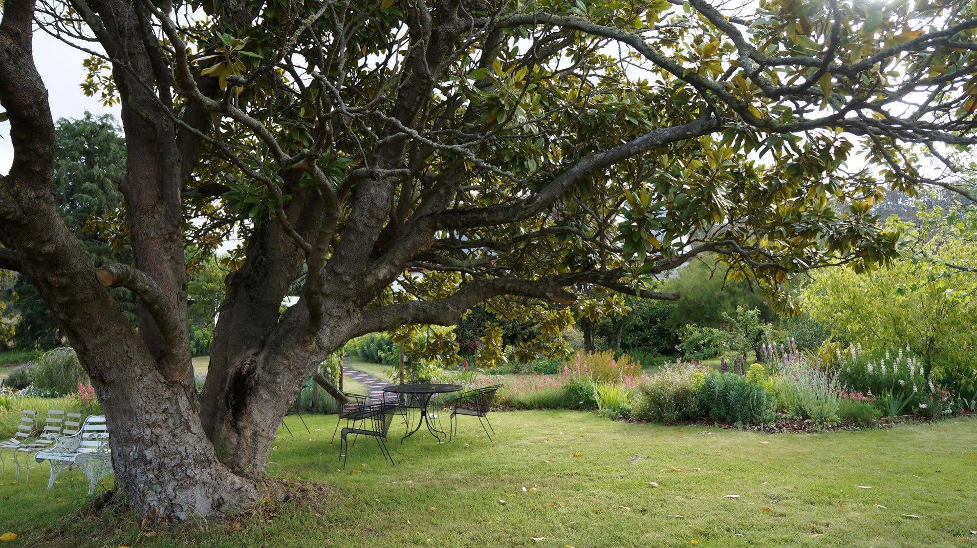 Roslyn House Bed & Breakfast Bushy Park Esterno foto