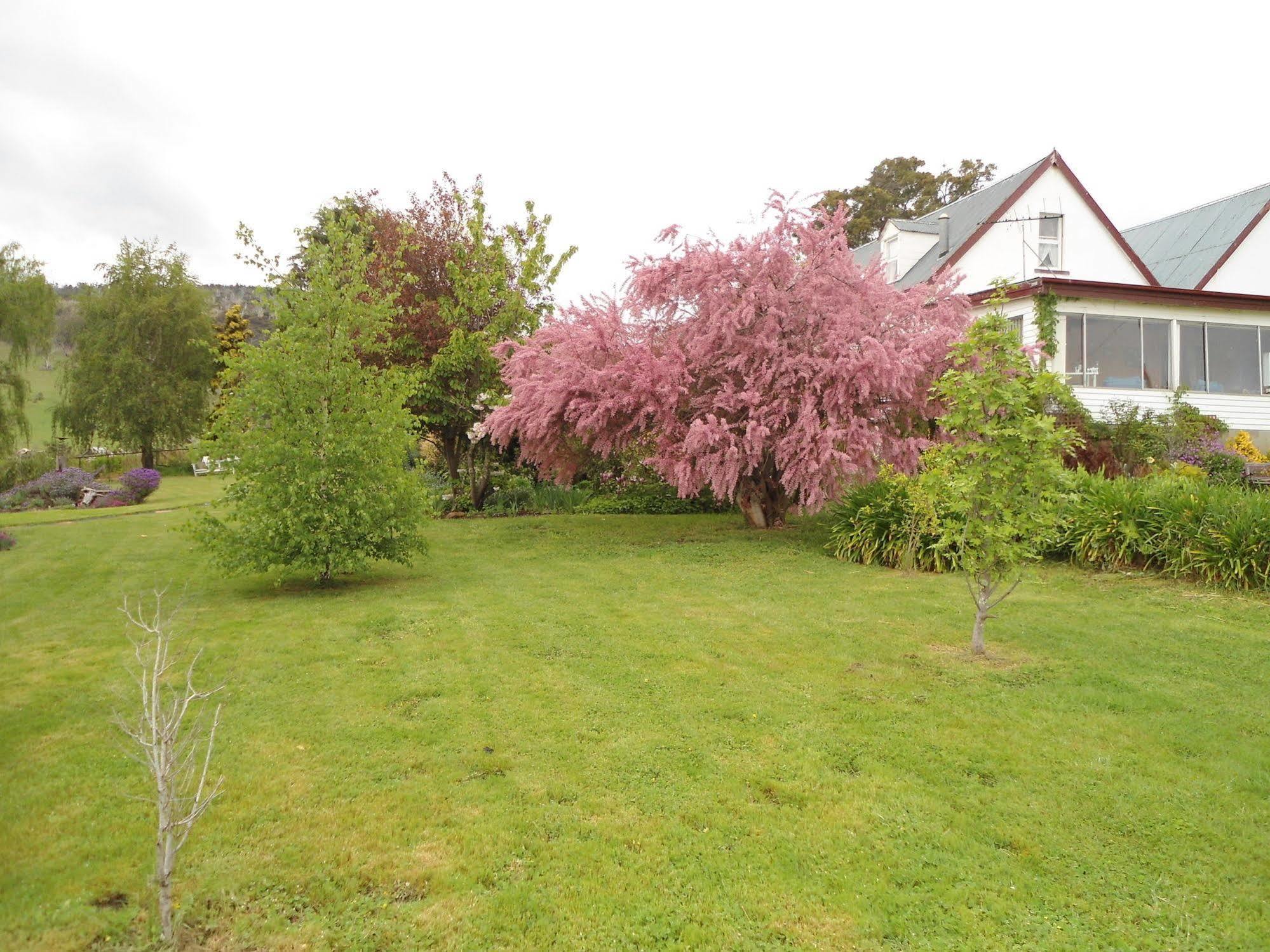 Roslyn House Bed & Breakfast Bushy Park Esterno foto