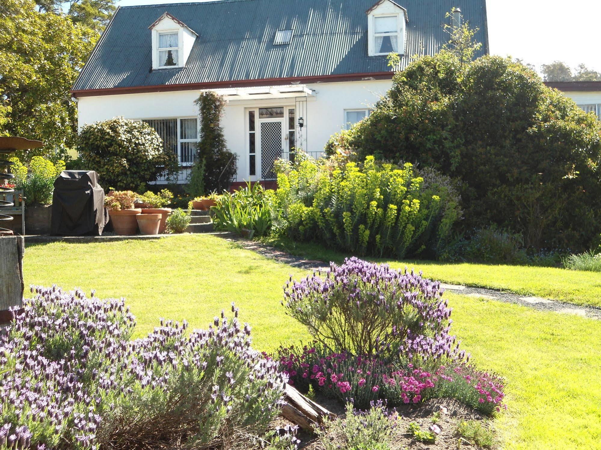 Roslyn House Bed & Breakfast Bushy Park Esterno foto