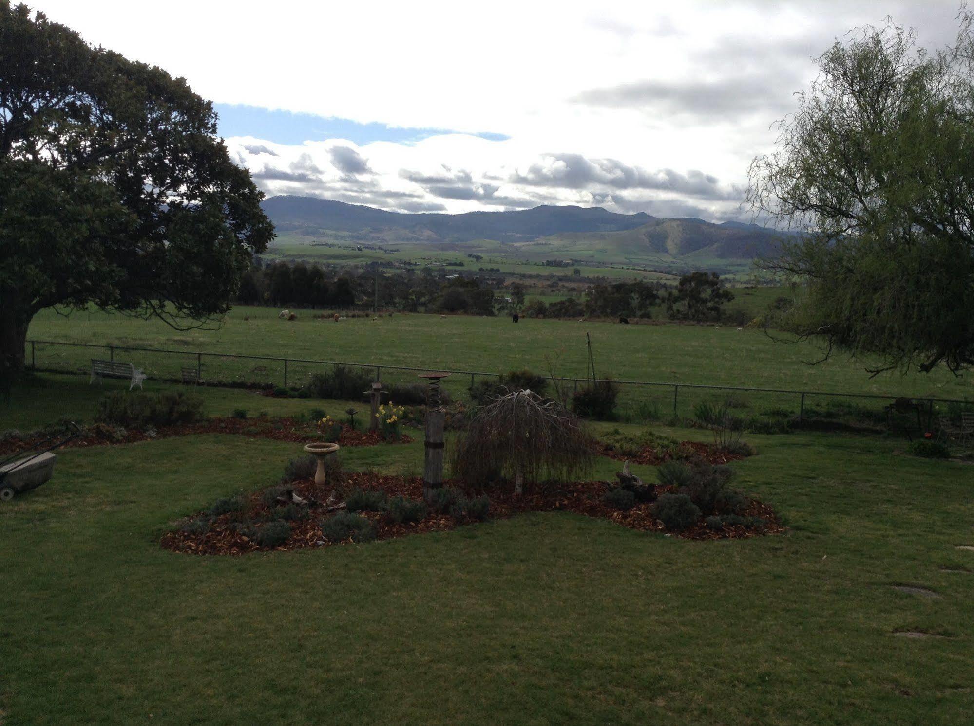 Roslyn House Bed & Breakfast Bushy Park Esterno foto