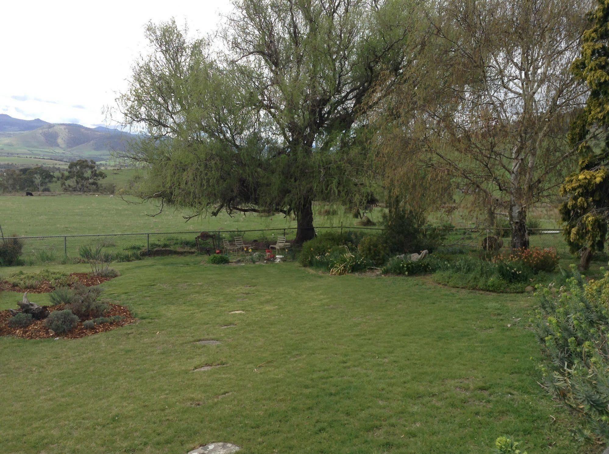 Roslyn House Bed & Breakfast Bushy Park Esterno foto